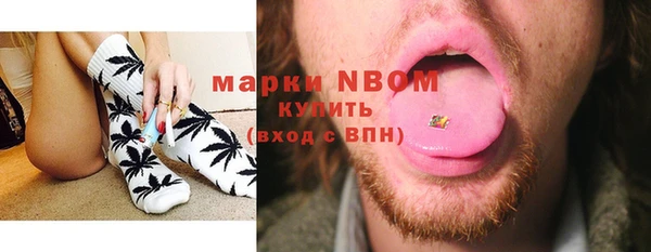 гашик Алексеевка