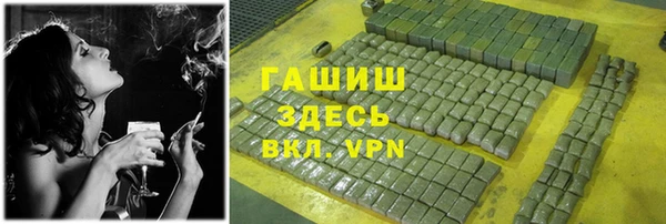 гашик Алексеевка
