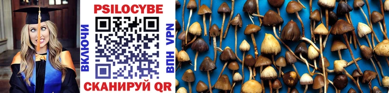 Псилоцибиновые грибы MAGIC MUSHROOMS  Азов 